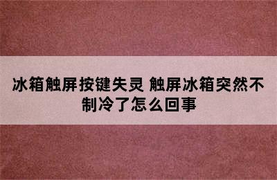 冰箱触屏按键失灵 触屏冰箱突然不制冷了怎么回事